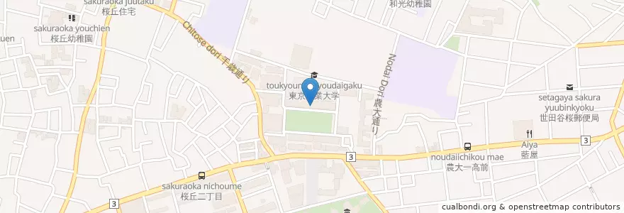 Mapa de ubicacion de 東京農業大学（地域環境科学部） en 일본, 도쿄도, 世田谷区.