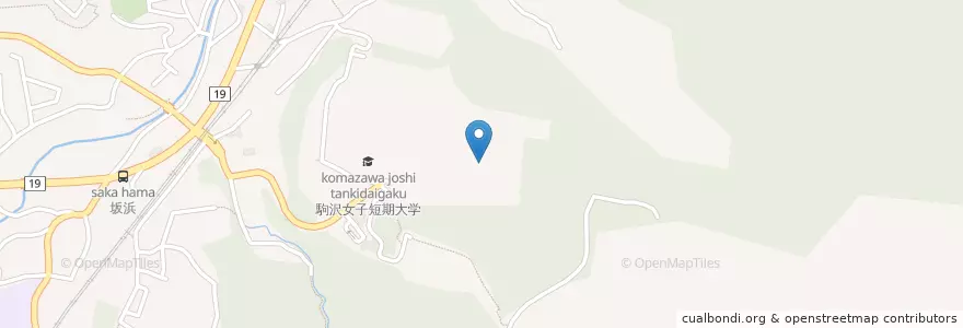 Mapa de ubicacion de 駒沢学園女子高等学校 en Jepun, 東京都, 稲城市.