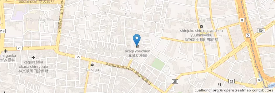 Mapa de ubicacion de 赤城幼稚園 en 日本, 東京都, 新宿区.