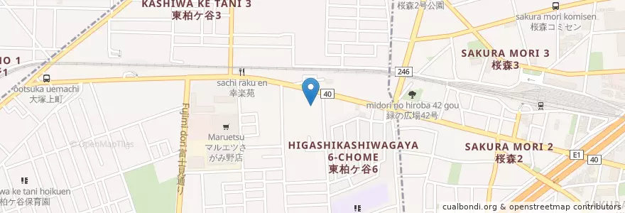 Mapa de ubicacion de さがみ野中央病院 en Jepun, 神奈川県.