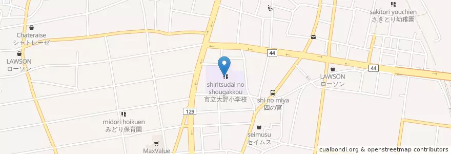 Mapa de ubicacion de 市立大野小学校 en Japón, Prefectura De Kanagawa, 平塚市.