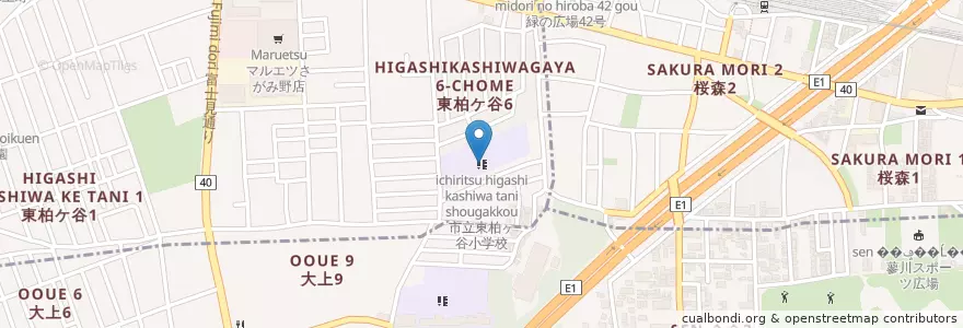 Mapa de ubicacion de 市立東柏ヶ谷小学校 en 日本, 神奈川県.