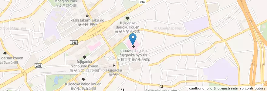 Mapa de ubicacion de 昭和大学藤が丘病院 en Japonya, 神奈川県, 横浜市, 青葉区.