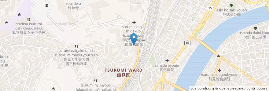 Mapa de ubicacion de 望星会鶴見西口病院 en Japan, Kanagawa Prefecture, Yokohama, Tsurumi Ward.