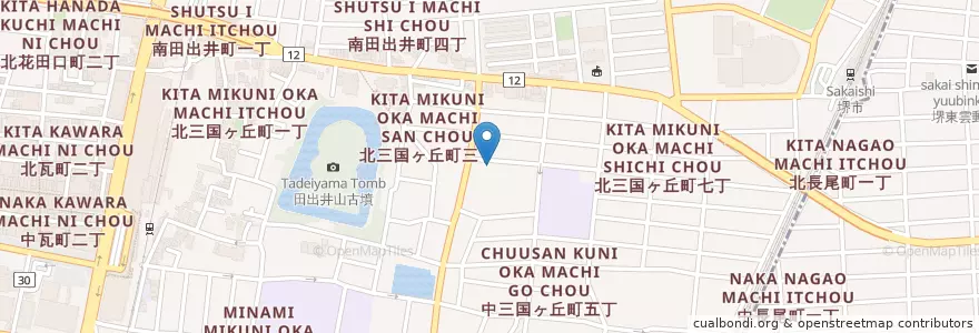 Mapa de ubicacion de 三国丘幼稚園 en 日本, 大阪府, 堺市, 堺区.