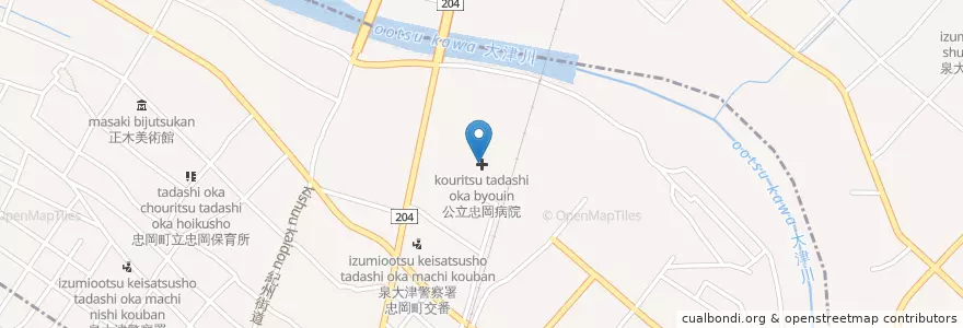 Mapa de ubicacion de 公立忠岡病院 en 日本, 大阪府, 泉大津市.