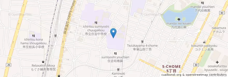 Mapa de ubicacion de 市立住吉小学校 en Jepun, 大阪府, 大阪市, 住吉区.