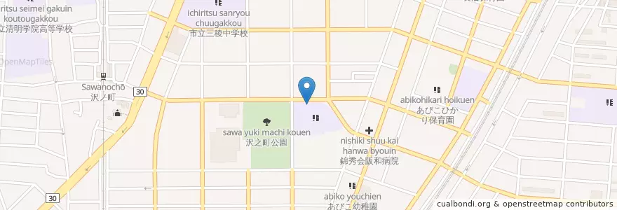 Mapa de ubicacion de 市立南住吉小学校 en 日本, 大阪府, 大阪市, 住吉区.