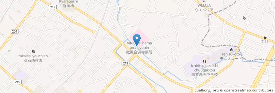 Mapa de ubicacion de 微風会浜寺病院 en Japan, Osaka Prefecture, Takaishi.