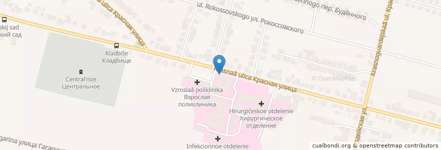 Mapa de ubicacion de Новозыбков 243021 en Russia, Central Federal District, Bryansk Oblast, Novozybkovsky District.