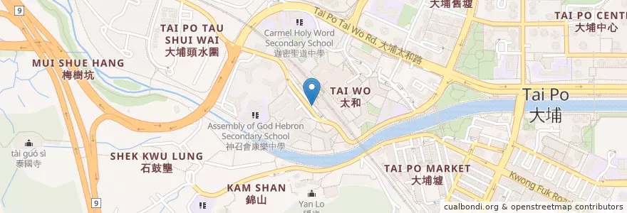 Mapa de ubicacion de 太和 Tai Wo en 中国, 香港 Hong Kong, 广东省, 新界 New Territories, 大埔區 Tai Po District.