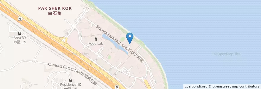 Mapa de ubicacion de 香港科學園第2期停車場 Hong Kong Science Park Phase 2 Car Park en China, Hongkong, Guangdong, New Territories, 沙田區 Sha Tin District.