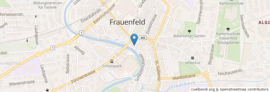 Mapa de ubicacion de Schlosskino en Svizzera, Turgovia, Bezirk Frauenfeld, Frauenfeld.