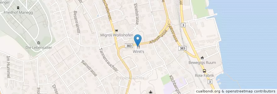 Mapa de ubicacion de Winit's en Switzerland, Zurich, District Zurich, Zurich.