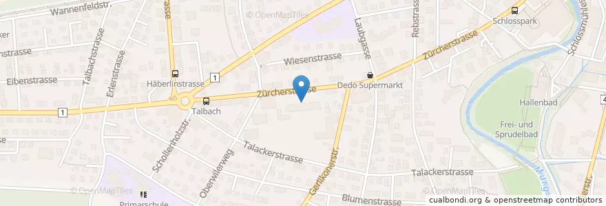 Mapa de ubicacion de Alterszentrum Park en 스위스, Thurgau, Bezirk Frauenfeld, Frauenfeld.