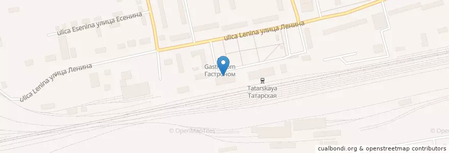 Mapa de ubicacion de Такси Барс en Russia, Siberian Federal District, Novosibirsk Oblast, Tatarsky District, Городское Поселение Татарск.