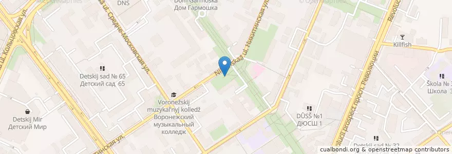 Mapa de ubicacion de Рынок букинистов en Rusia, Distrito Federal Central, Óblast De Vorónezh, Городской Округ Воронеж.