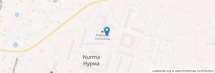 Mapa de ubicacion de Нурма 187029 en Russia, Northwestern Federal District, Leningrad Oblast, Tusina District, Нурминское Сельское Поселение.
