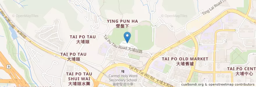 Mapa de ubicacion de 大埔頭總站 Tai Po Tau Terminus en الصين, هونغ كونغ, غوانغدونغ, الأقاليم الجديدة, 大埔區 Tai Po District.