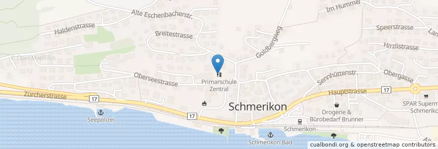 Mapa de ubicacion de Primarschule Zentral en Schweiz/Suisse/Svizzera/Svizra, Sankt Gallen, Wahlkreis See-Gaster, Schmerikon.