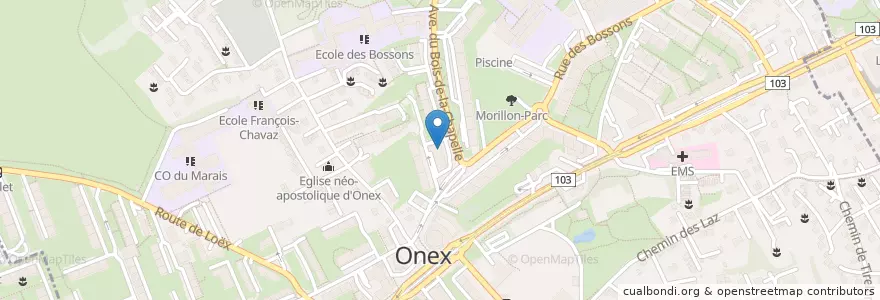 Mapa de ubicacion de Onex Kebap en Switzerland, Genève, Genève, Onex.