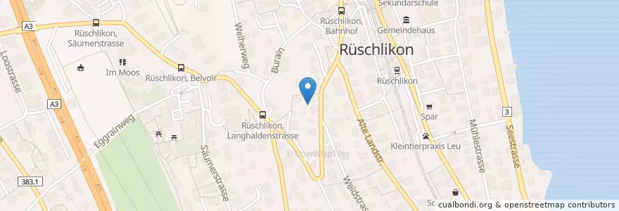 Mapa de ubicacion de Rüschlikon en Schweiz/Suisse/Svizzera/Svizra, Zürich, Bezirk Horgen, Rüschlikon.