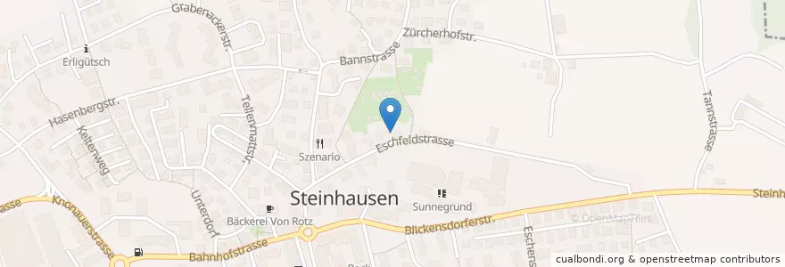 Mapa de ubicacion de Steinhausen en スイス, Zug, Steinhausen.