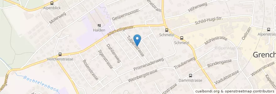 Mapa de ubicacion de Grenchen en Switzerland, Solothurn, Amtei Solothurn-Lebern, Bezirk Lebern, Grenchen.