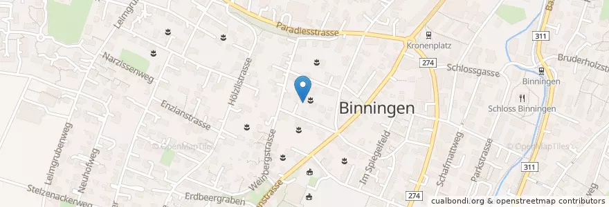 Mapa de ubicacion de Binningen en Suiza, Basilea-Campiña, Bezirk Arlesheim, Binningen.
