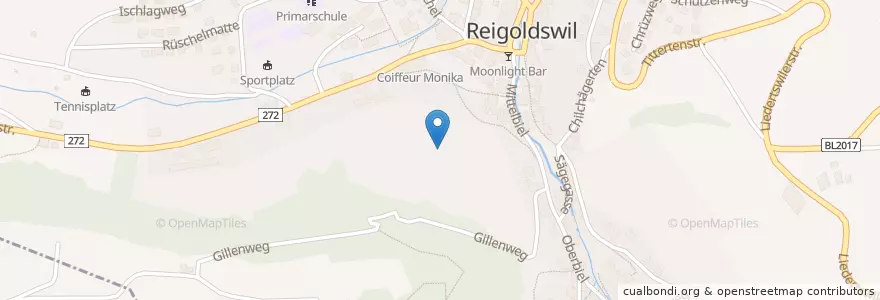 Mapa de ubicacion de Reigoldswil en Svizzera, Basilea Campagna, Bezirk Waldenburg, Reigoldswil.