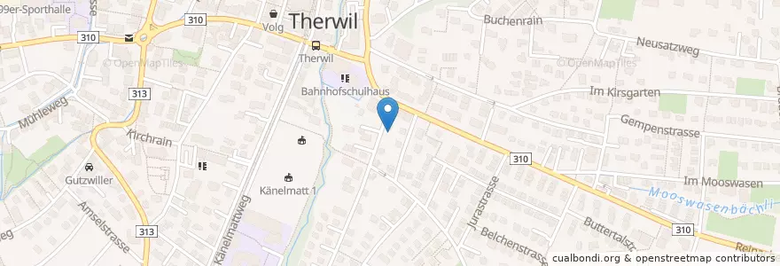Mapa de ubicacion de Therwil en スイス, Basel-Landschaft, Bezirk Arlesheim, Therwil.