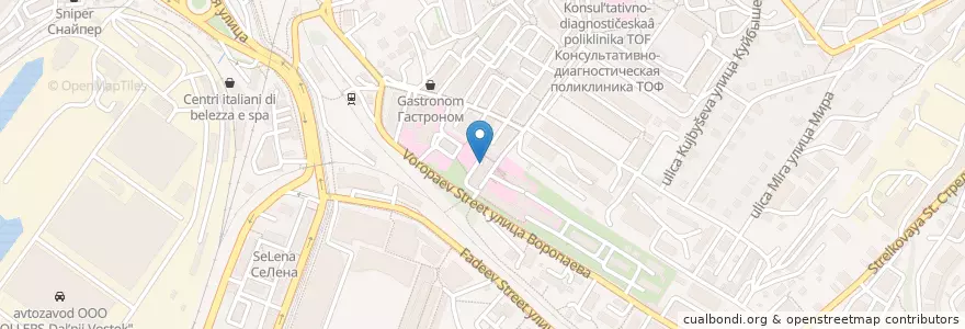 Mapa de ubicacion de Флюорографический кабинет en ロシア, 極東連邦管区, 沿海地方, ウラジオストク管区.
