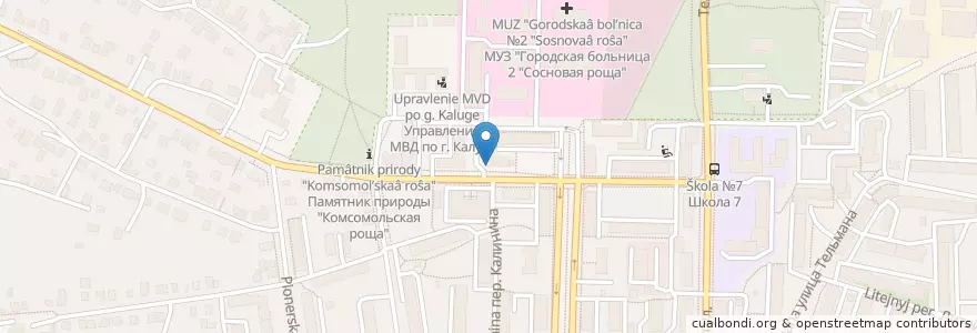 Mapa de ubicacion de Клинико-диагностическая лаборатория en Rusia, Distrito Federal Central, Óblast De Kaluga, Городской Округ Калуга.
