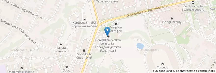 Mapa de ubicacion de Городская детская больница №1 en Rusia, Distrito Federal Central, Óblast De Vladímir, Городской Округ Владимир.