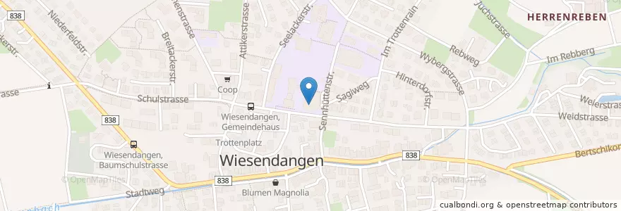 Mapa de ubicacion de Bibliothek en スイス, チューリッヒ, Bezirk Winterthur, Wiesendangen.