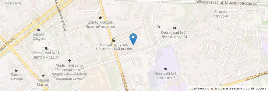 Mapa de ubicacion de Кот и Пес en Russland, Föderationskreis Zentralrussland, Oblast Wladimir, Городской Округ Владимир.