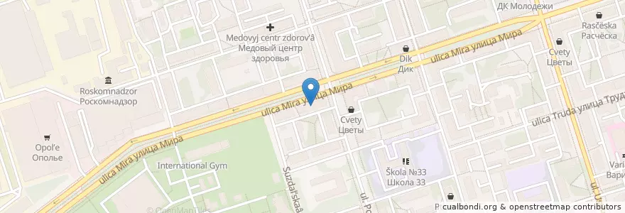 Mapa de ubicacion de Стоматологическая поликлиника №1 en Russie, District Fédéral Central, Oblast De Vladimir, Городской Округ Владимир.