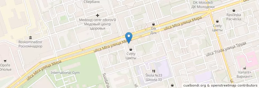 Mapa de ubicacion de Отделение связи №600009 en Rusia, Distrito Federal Central, Óblast De Vladímir, Городской Округ Владимир.