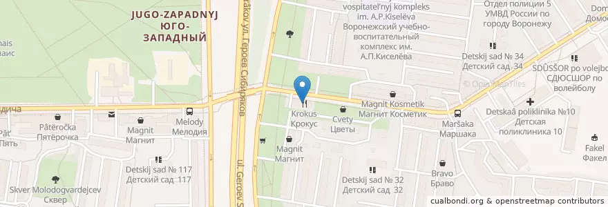Mapa de ubicacion de Альтштадт Браухаус en Rússia, Distrito Federal Central, Oblast De Voronej, Городской Округ Воронеж.