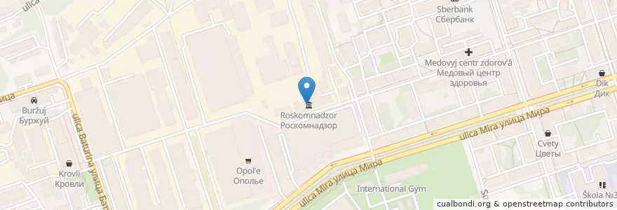Mapa de ubicacion de Роскомнадзор en Rússia, Distrito Federal Central, Владимирская Область, Городской Округ Владимир.