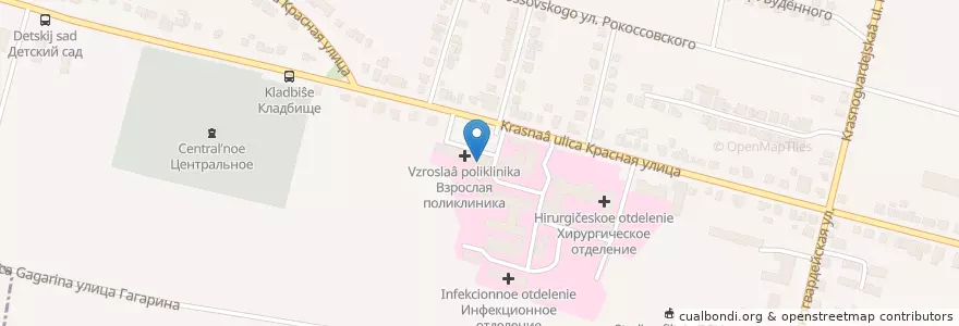 Mapa de ubicacion de Аптека № 2 en ロシア, 中央連邦管区, ブリャンスク州, Новозыбковский Городской Округ.