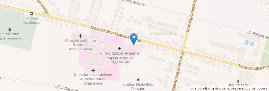 Mapa de ubicacion de Аптека № 3 en 러시아, Центральный Федеральный Округ, Брянская Область, Новозыбковский Городской Округ.