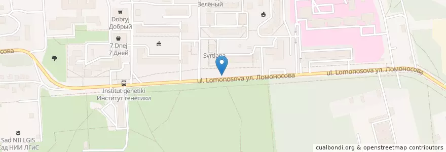 Mapa de ubicacion de Русский аппетит en Rusia, Distrito Federal Central, Óblast De Vorónezh, Городской Округ Воронеж.