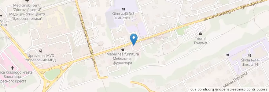 Mapa de ubicacion de Гомеопатическая аптека en Rusia, Distrito Federal Central, Óblast De Vladímir, Городской Округ Владимир.