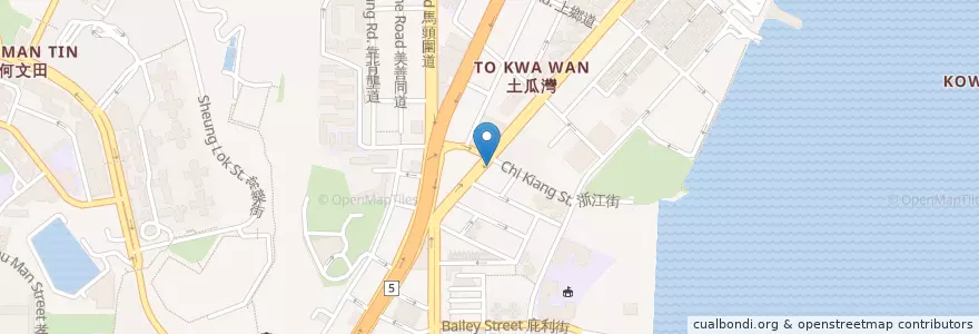 Mapa de ubicacion de McDonald's en Китай, Гуандун, Гонконг, Цзюлун, Новые Территории, 九龍城區 Kowloon City District.
