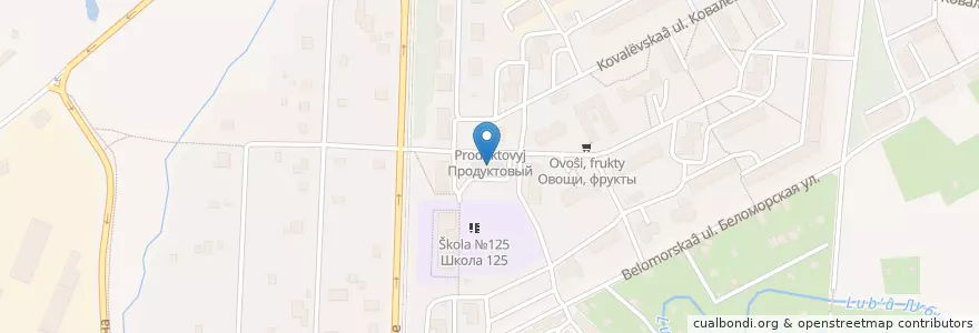 Mapa de ubicacion de Санкт-Петербург 195043 en Russie, District Fédéral Du Nord-Ouest, Oblast De Léningrad, Saint-Pétersbourg, Красногвардейский Район, Округ Ржевка.