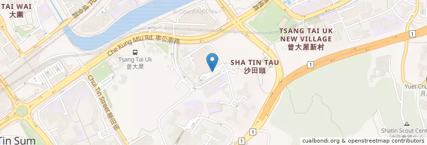 Mapa de ubicacion de 秦石 Chun Shek en China, Guangdong, Hongkong, New Territories, 沙田區 Sha Tin District.