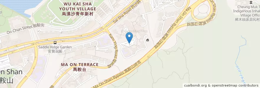 Mapa de ubicacion de 利安 en 中国, 香港, 广东省, 新界, 沙田區.