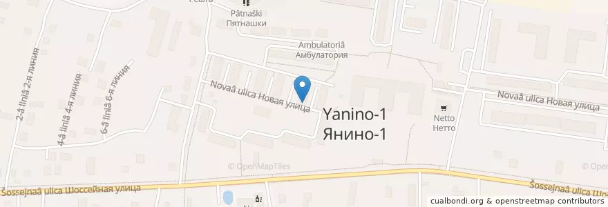 Mapa de ubicacion de Янино-1 188689 en Russia, Northwestern Federal District, Leningrad Oblast, Vsevolozhsky District, Заневское Городское Поселение.