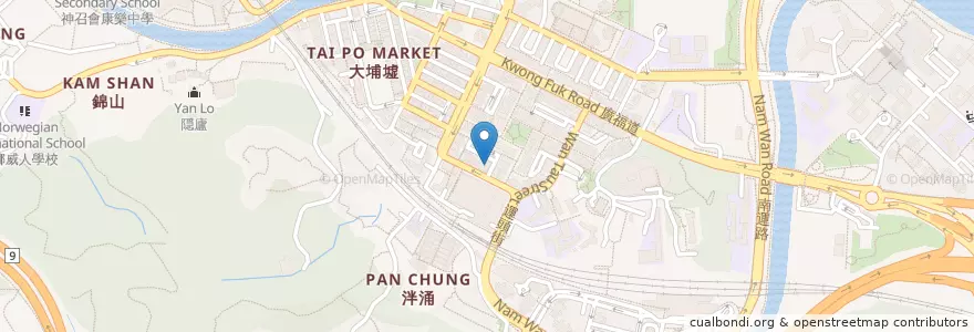 Mapa de ubicacion de 大埔浸信會糼稚園 Tai Po Baptist Kindergarten en 中国, 香港, 広東省, 新界, 大埔區 Tai Po District.